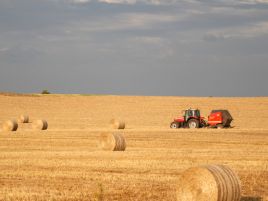 Traktor