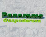 Panorama Gospodarcza (c)