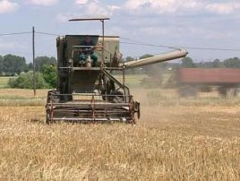 Na pokrycie krajowego zapotrzebowania na zboża potrzebne jest ponad 26 mln ton