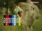 Agroregion (c)
