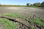 ... co sprawia, że temperatura odczuwalna dochodzi w niektórych miejscach do aż 50 stopni Celsjusza (fot. PAP/EPA)
