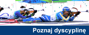 Dyscyplina