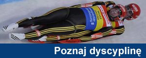 dyscy
