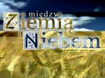 (fot. TVP) (c)