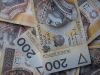 złoty