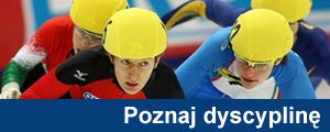 dycsyplina