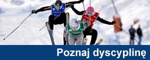 dyscyplina
