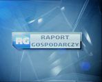 Raport gospodarczy