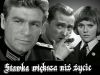 Stawka większa niż życie, seriale (fot. TVP)