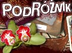 Podróżnik (c)