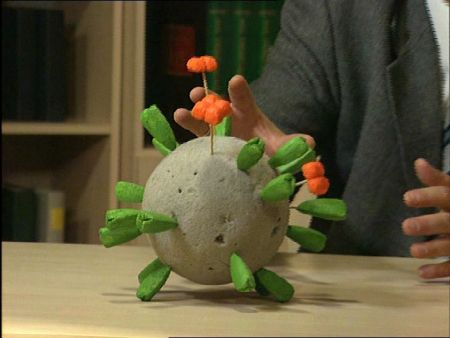 Grypa - wirus mały i groźny