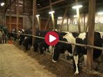 Zdj. AGROkurier