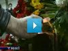 Moskwa nadal w szoku