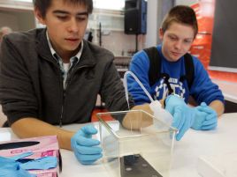 Laboratoria CNK to wzorce dla polskiej edukacji (fot. PAP/Paweł Supernak)
