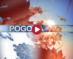 (c) foto
