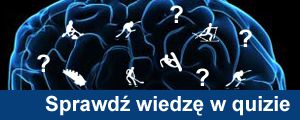 quiz