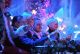 Rodzina Golców w najbardziej rozkochanym rozrywkowym show (fot. I. Sobieszczuk/TVP)