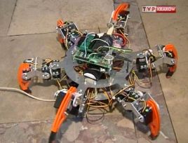 Robot kroczący -  złoty medalista    międzynarodowych zawodów w Bratysławie