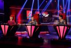 W tym programie liczy się tylko głos (fot. rochstar)