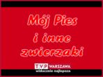 mój pies i inne (c)