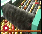 34a278f0d56cb99d77e045c62d148d731335613590889.png
