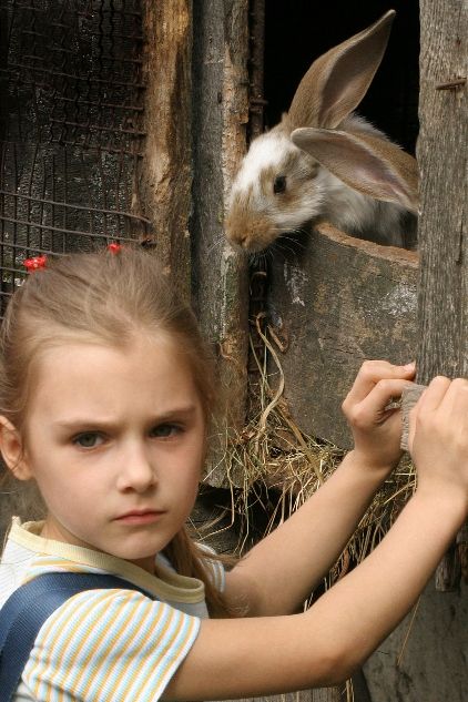 Nie wszyscy jednak mogą cieszyć się wolnością...  (fot. M. Stokłosa, B. Sawka)