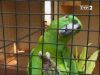 Ziemia nieznana - Afrykańska wolność