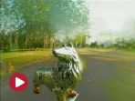 3f6568261f7046c0ba0fe249859b12691231622828904.jpg