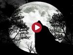 Fot. nazreth/http://www.sxc.hu/photo/991792