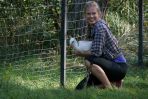 Po raz pierwszy jej pacjentem jest bocian (fot. Z. Drużbicki)