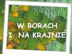 W Borach i na Krajnie (c)