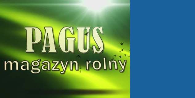 Pagus