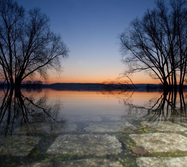 Odra - wysoki poziom wody (fot. PAP/EPA/PATRICK PLEUL)