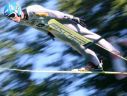 Letnia GP: nadchodzą decydujące rozstrzygnięcia