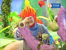 Domisiowe zasady