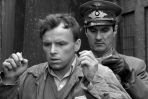 Czasem dorwą i zdemaskuja naszego współpracownika (fot. TVP)
