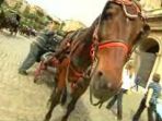 Kemping we Włoszech (fot. TVP)