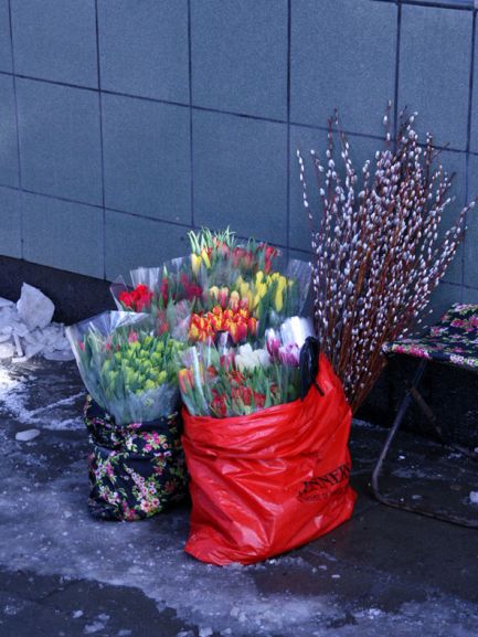 Gdzieniegdzie wkradają się już nieśmiałe akcenty wiosny (fot.Mikołaj Handzlik)