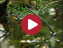71384ed37fece66c395b77876c04b6d21242408651291.png