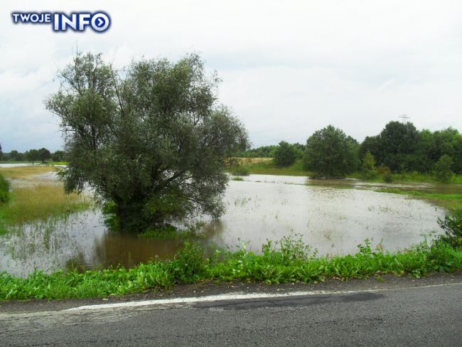 Okolice Bierunia Nowego, Bijasowic i Jedliny. Rzeka Pszczynka wylała (fot. Twoje Info/Józef  Pacwa)