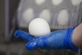 Mozarella powinna być biała jak śnieg (fot. ANP XTRA FRANK VAN BEEK)