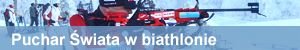 Puchar Świata w biathlonie