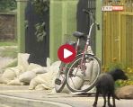 Wąchock liczy straty po podtopieniach