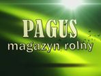 Pagus