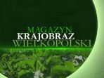 Magazyn Krajobraz Wielkopolski (c)