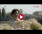 Aleksandra Natalli-Świat
