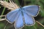 fot. TVP
