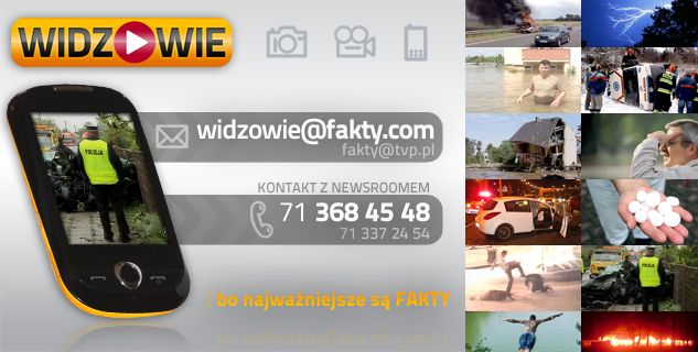 Fakty