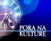(c) foto