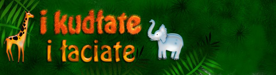 954x260